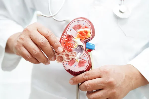 Liver, Kidney and Chronic Disease Care